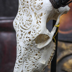 Hand Carved Cow Skull // 3 Circles