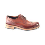 Full Brogue Perforated Wingtip Derby // Antique Tobacco (Euro: 44)