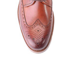 Full Brogue Perforated Wingtip Derby // Antique Tobacco (Euro: 41)