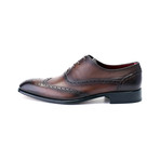 Antique Finish Perforated Wingtip Oxford // Antique Brown (Euro: 45)