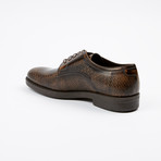 Textured Plain Toe Derby // Brown (US: 8.5)