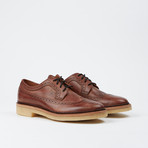 Luke Wingtip Boot // Brown (US: 10.5)
