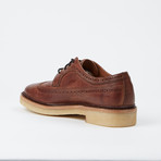 Luke Wingtip Boot // Brown (US: 10.5)