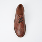 Luke Wingtip Boot // Brown (US: 10.5)