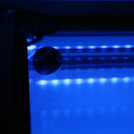 G4 // The Phoenix (Standard)