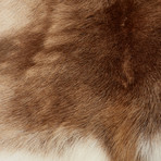 Finnish Reindeer Hide