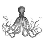 Black Ink Wall Decal