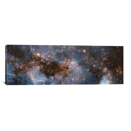 Glowing Stardust // NASA (36"W x 12"H x 0.75"D)