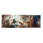 Stardust Flare // NASA (60"W x 20"H x 0.75"D)