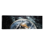 Earth in space // Panoramic Images (60"W x 20"H x 0.75"D)