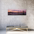 Ben Franklin Bridge, Philadelphia (48"H x 16"W x 0.75"D)