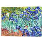 Vincent Van Gogh // Irises // 1889 (16"W x 20"H x 0.75"D)