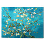 Vincent Van Gogh // Almond Blossoms // 1890 (16"W x 20"H x 0.75"D)