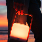 Lucis Bamboo + Handle