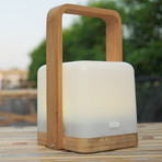 Lucis Bamboo + Handle