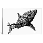 Great White Shark // Bioworkz (18"W x 26"H x 0.75"D)