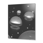 Jellyfishes BW // Aluminum (16"W x 24"H x 0.2"D)