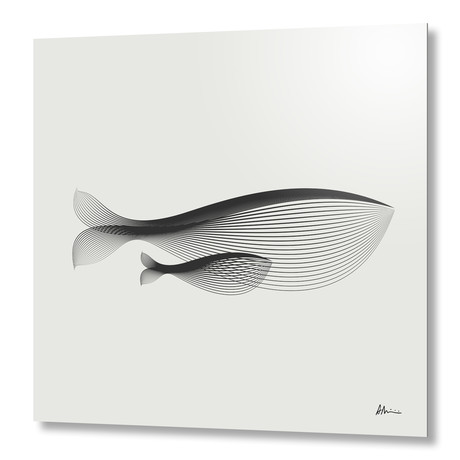 Whales // Aluminum (16"W x 16"H x 0.2"D)