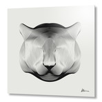 Puma // Aluminum (16"W x 16"H x 0.2"D)