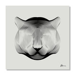 Puma // Canvas (16"W x 16"H x 1.5"D)