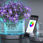 Orna // LED-RGB Bluetooth Lightning Base