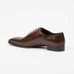 Hand Painted Oxford // Brown (US: 8.5)