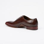 Stitched Oxford // Brown (US: 10)