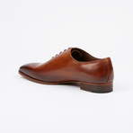 Handpainted Oxford // Tobacco (US: 7)