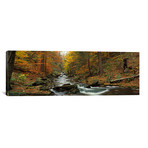 Fall Trees Kitchen Creek PA // Panoramic Images (36"W x 12"H x 0.75"D)