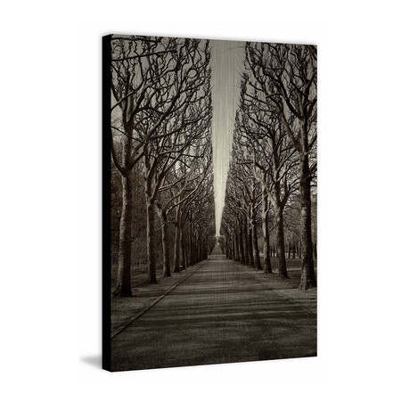 Tree Alley Painting Print // Brushed Aluminum (12"W x 18"H x 1.5"D)