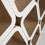 Moretto Composition 1