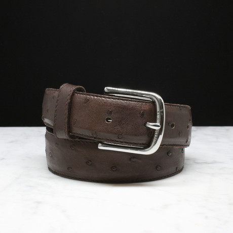1.25" Belt // Quill Leather // Nicotine (34"W)