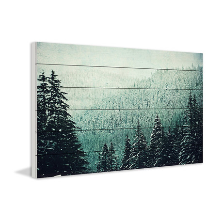 Valley of Trees // White Wood (18"W x 12"H x 1.5"D)