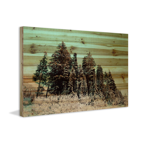 The Tallest Trees // Natural Pine Wood (18"W x 12"H x 1.5"D)