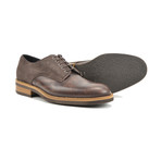 Pertini Suede Derby Plain // Coffee (Euro: 42)