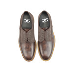 Pertini Suede Derby Plain // Coffee (Euro: 42)