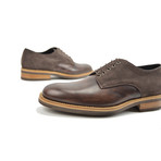 Pertini Suede Derby Plain // Coffee (Euro: 42)
