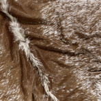 Brown White // Salt Pepper (6' x 6')