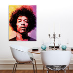 Hendrix // Aluminum Print (16"W x 20"H x 1.5"D)