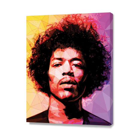Hendrix // Stretched Canvas (16"W x 20"H x 1.5"D)