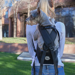 Ruffit Dog Carrier (Small)