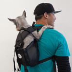 Ruffit Dog Carrier (Small)