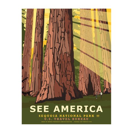 Sequoia National Park (11"W x 14"H)