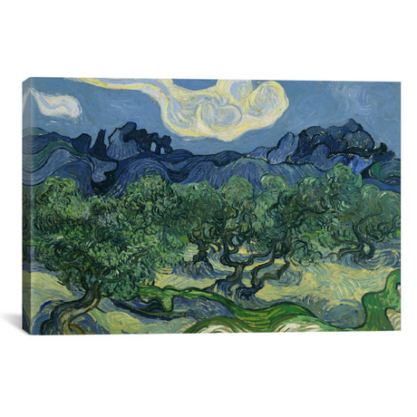 Olive Trees with the Alpilles in the Background // Vincent van Gogh // 1888 (26"W x 18"H x 0.75"D)