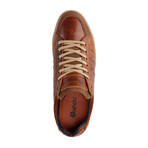 J.Gwynn Shoe // Cognac (Euro: 40)