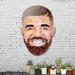 Drake // Aluminum Die-Cut (11"W x 16"H)