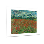 Poppy Field // Vincent van Gogh // 1890 (16"W x 12"H)