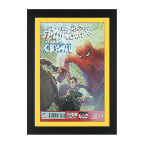 The Amazing Spider-Man