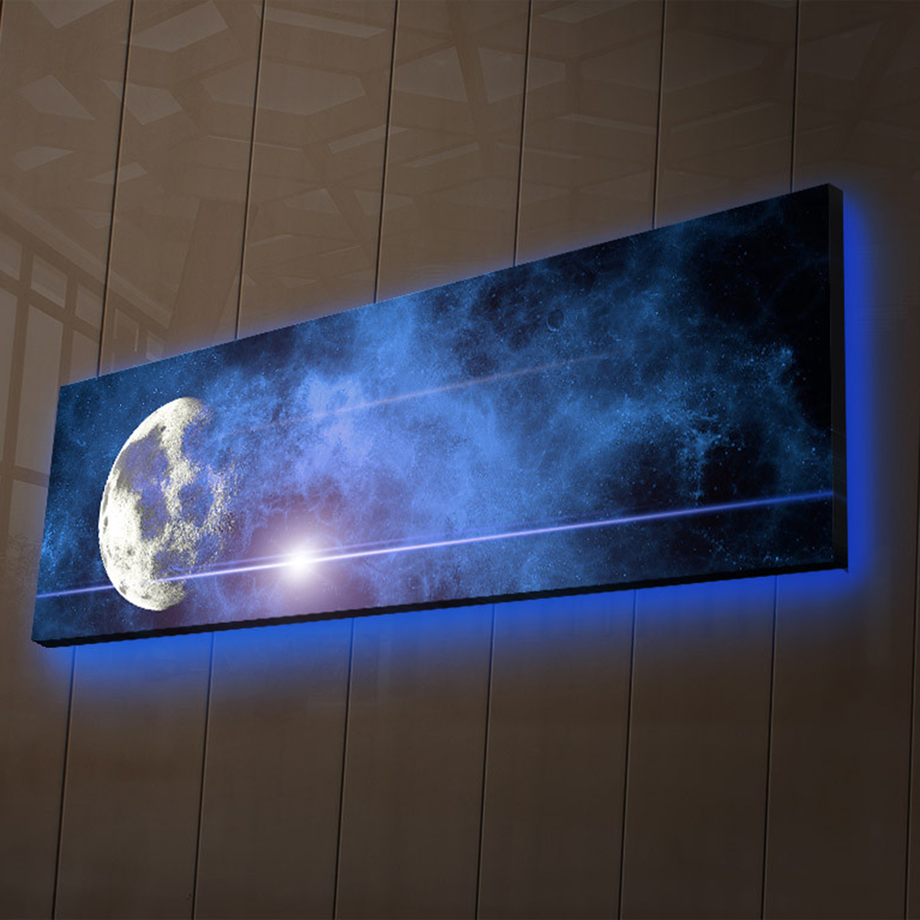 LED Canvas Art Nature Inspired Illuminated Art Touch of Modern