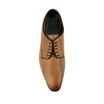 Crestlake Classic Shoe // Tan (UK: 11)
